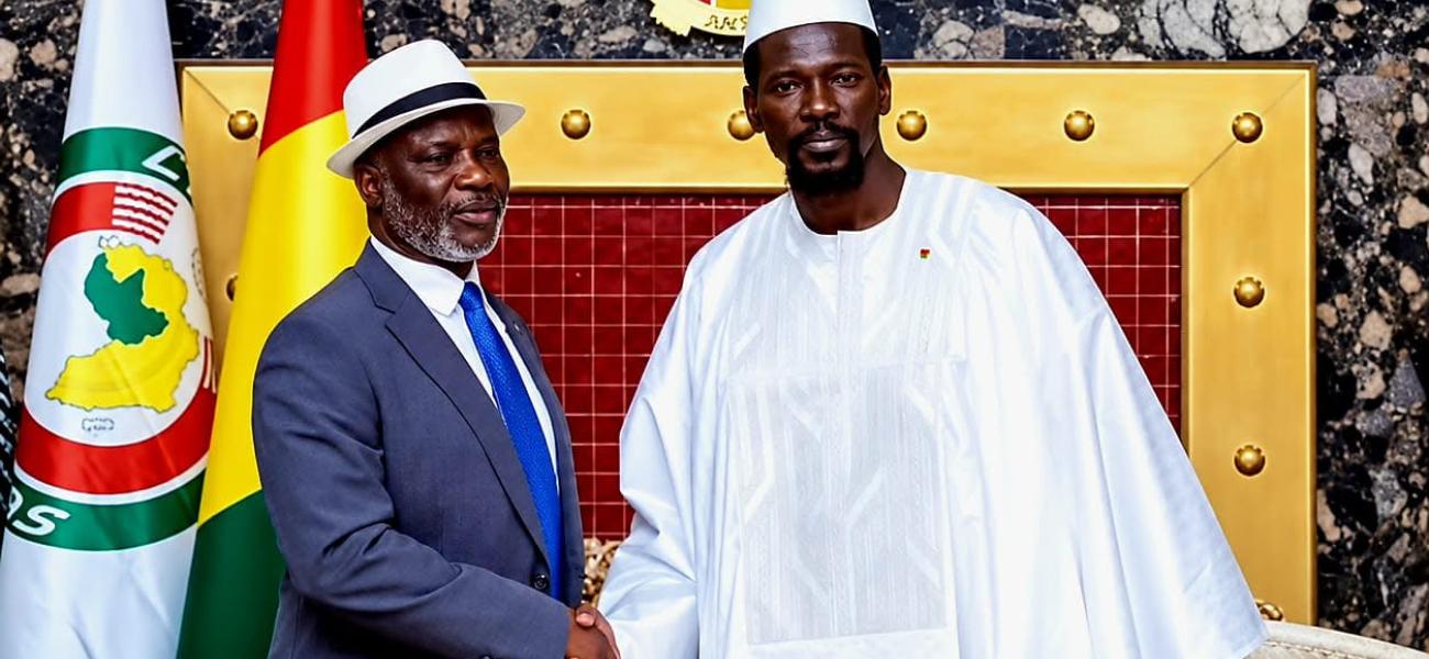  HardFacts Feature | Regional Affairs Desk featured picture of two African leaders 
